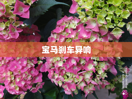 宝马刹车异响