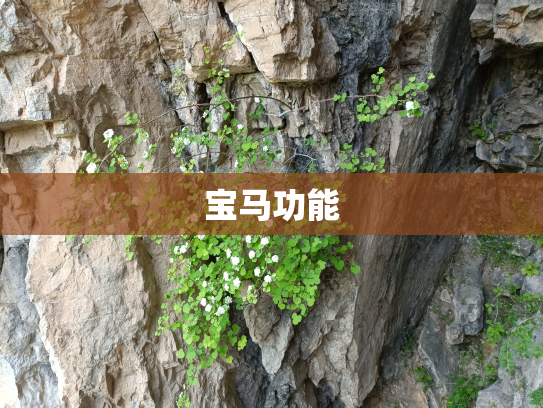 宝马功能