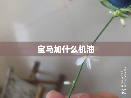 宝马加什么机油