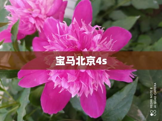 宝马北京4s