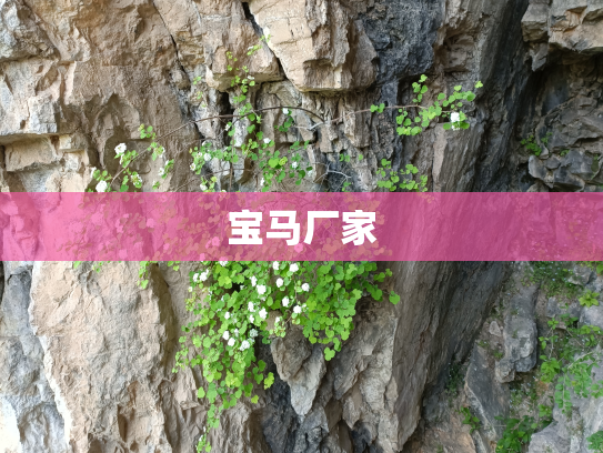 宝马厂家
