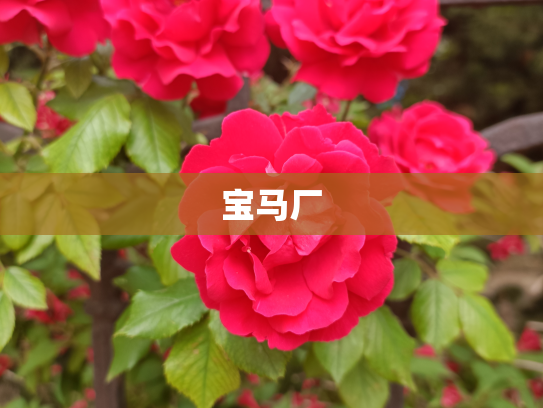 宝马厂
