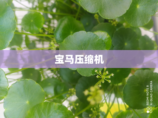 宝马压缩机
