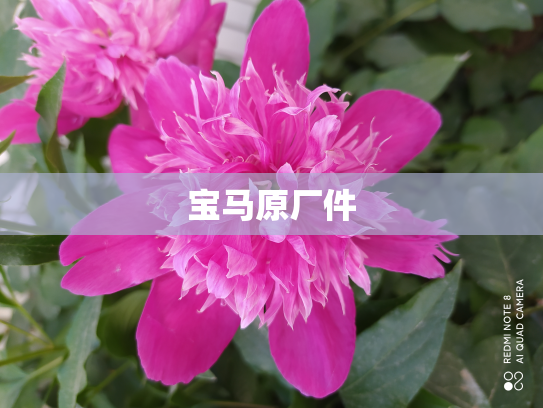 宝马原厂件