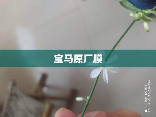 宝马原厂膜