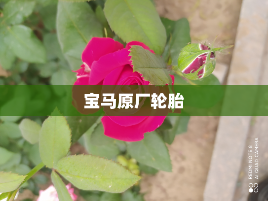 宝马原厂轮胎