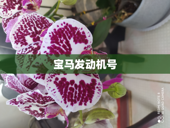 宝马发动机号