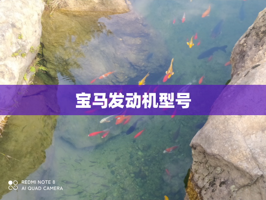 宝马发动机型号