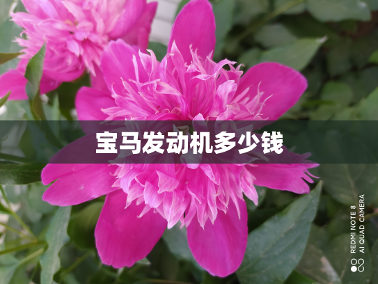 宝马发动机多少钱