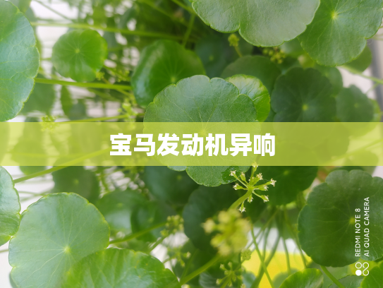 宝马发动机异响