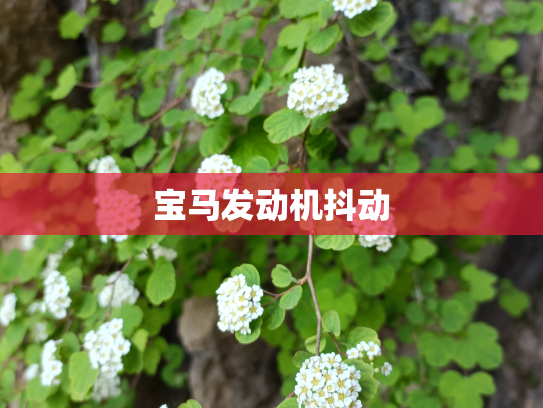 宝马发动机抖动