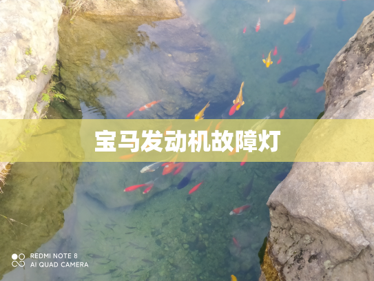 宝马发动机故障灯