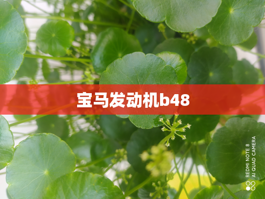 宝马发动机b48