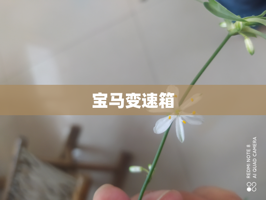 宝马变速箱