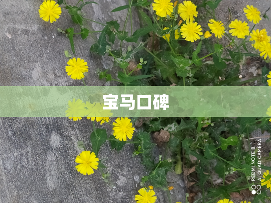 宝马口碑
