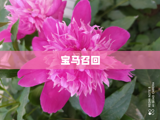 宝马召回