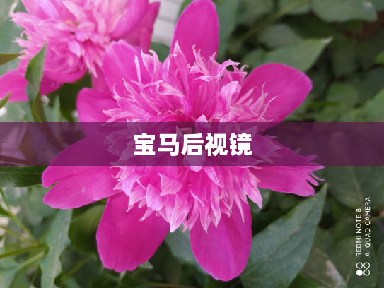 宝马后视镜