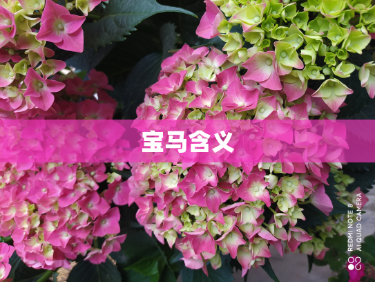 宝马含义