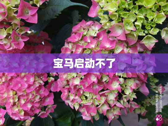 宝马启动不了