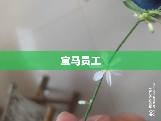 宝马员工