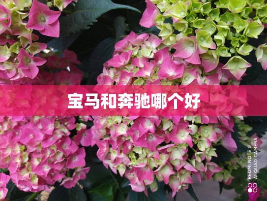 宝马和奔驰哪个好