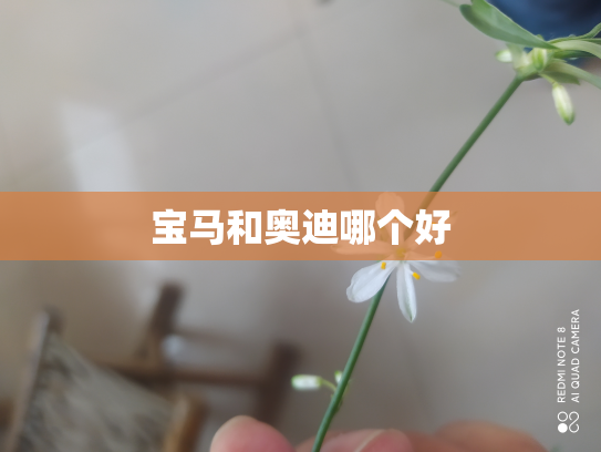 宝马和奥迪哪个好