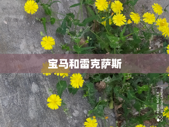 宝马和雷克萨斯