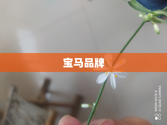 宝马品牌