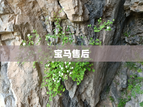 宝马售后