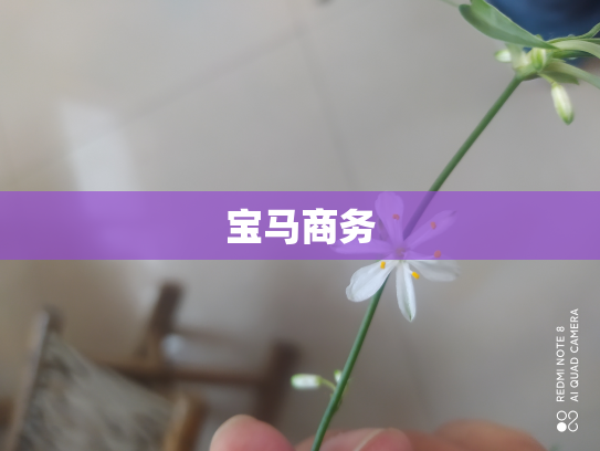 宝马商务