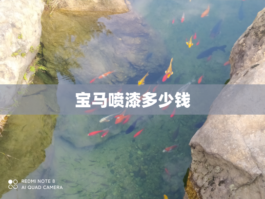 宝马喷漆多少钱