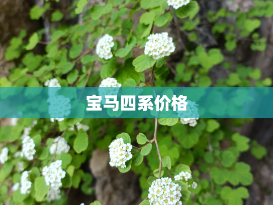 宝马四系价格