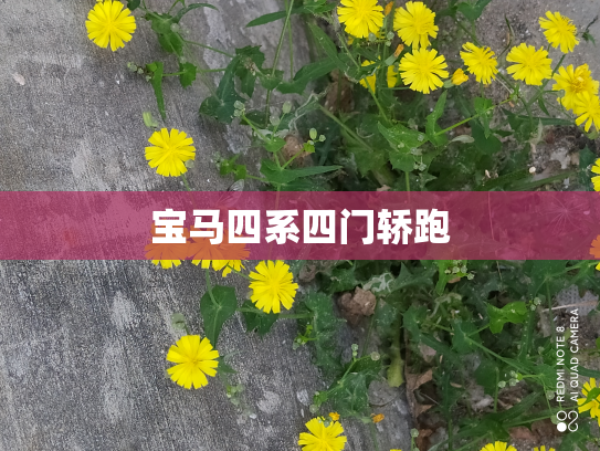 宝马四系四门轿跑