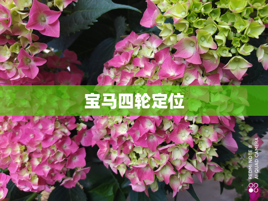 宝马四轮定位
