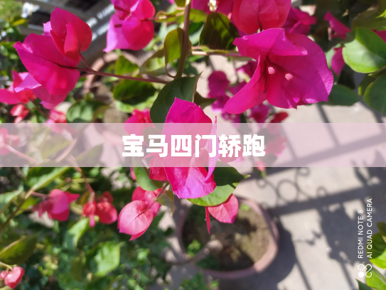 宝马四门轿跑