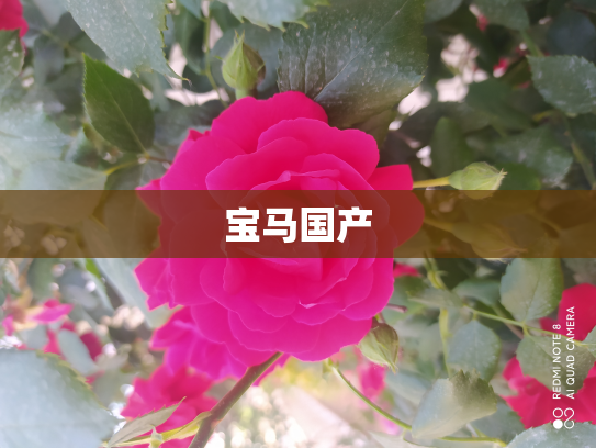 宝马国产