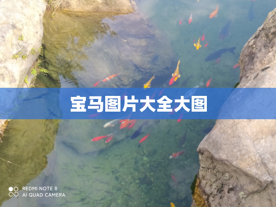 宝马图片大全大图