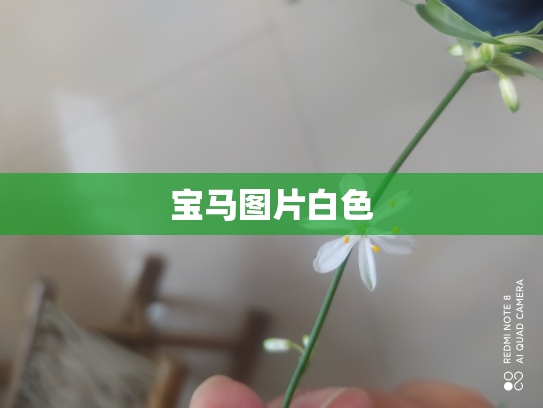 宝马图片白色