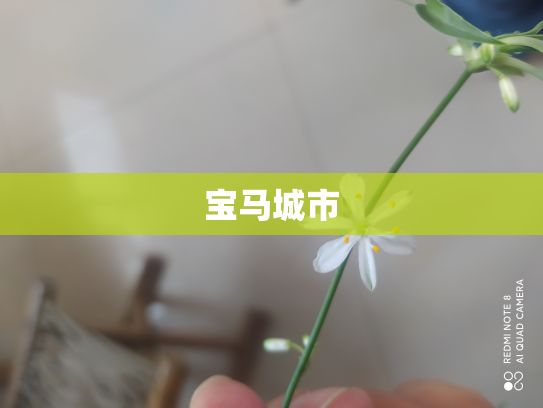 宝马城市