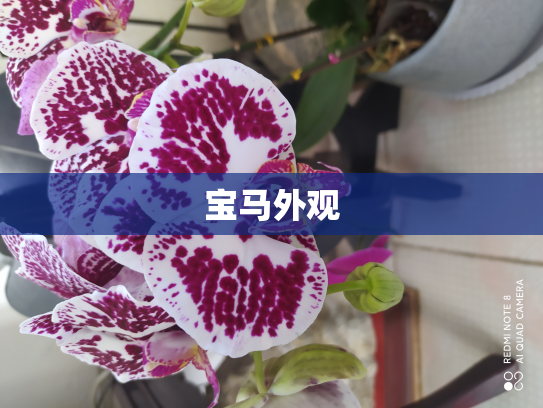宝马外观
