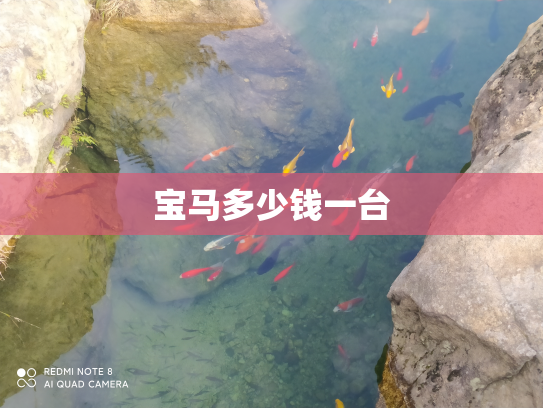 宝马多少钱一台