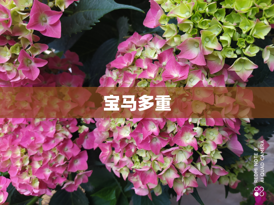 宝马多重