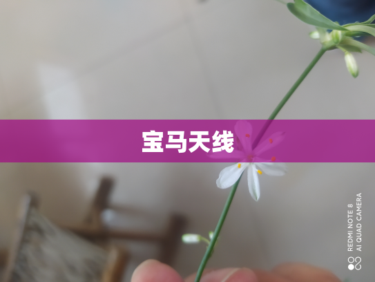 宝马天线