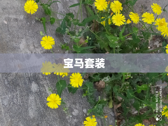 宝马套装
