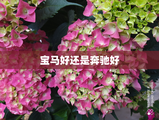 宝马好还是奔驰好