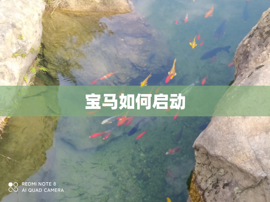 宝马如何启动