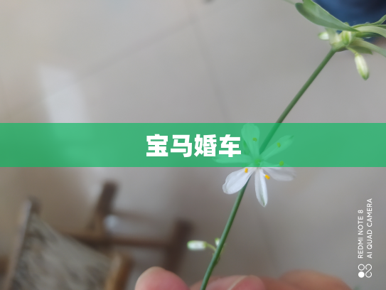 宝马婚车