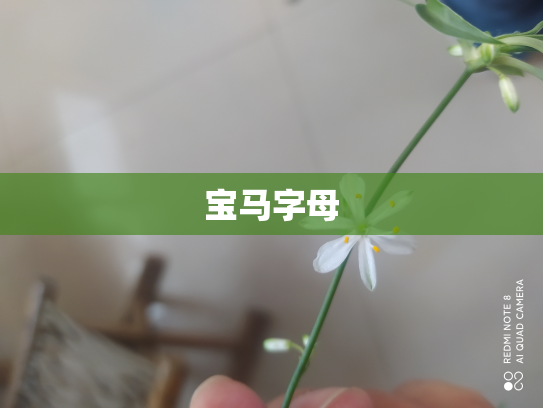宝马字母