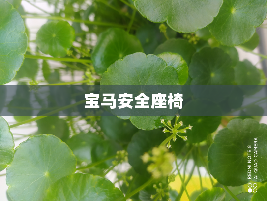 宝马安全座椅