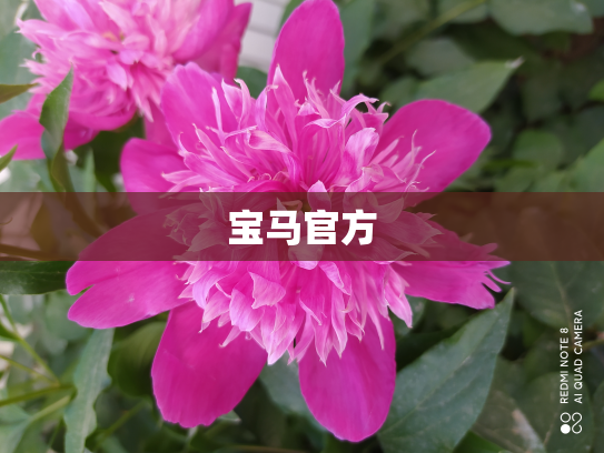 宝马官方